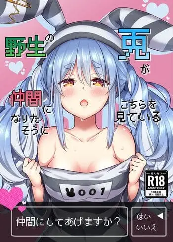 hentai-cover